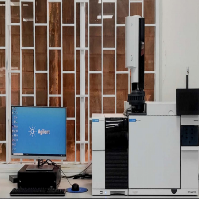 Gas chromatography - mass spectrometry (GC-MS)